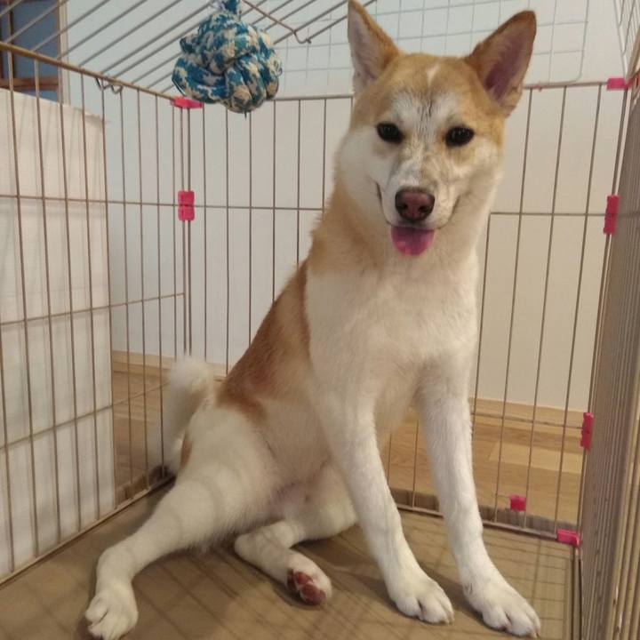 30d438d9 f053 4c33 8d7b 3618abdda4c3