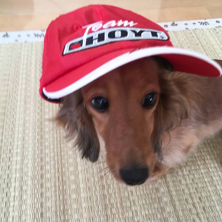 30d477c9 db27 43f3 aba0 f3eb387a0100