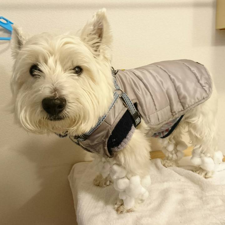 30d47f85 3859 43e2 8519 989d680196d4