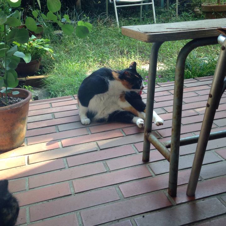 30d4c246 a351 4f53 ab73 83b8464ddd87