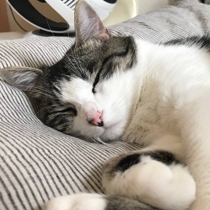 30d4c9eb 906a 496a af7d c759f832a9b2