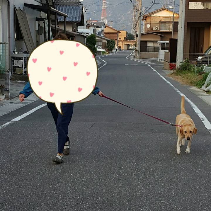 30d4df79 4788 43ed 9e4c e19f00610f89