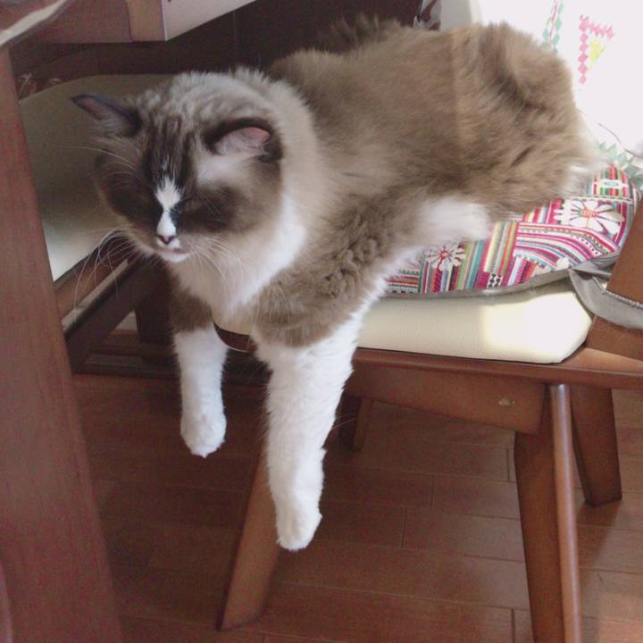 30d5150c 4d7d 40e8 942b e8632a0e4234