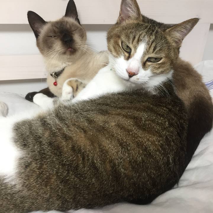 30d53bab b546 4109 8fdb 90aaab4a6508