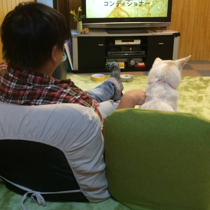 30d58b83 0581 474a b470 3280a25ccb2d