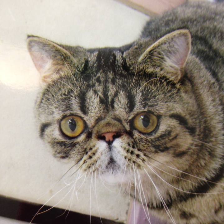 30d5e7c0 8a92 40aa becb dcc495d8cd43