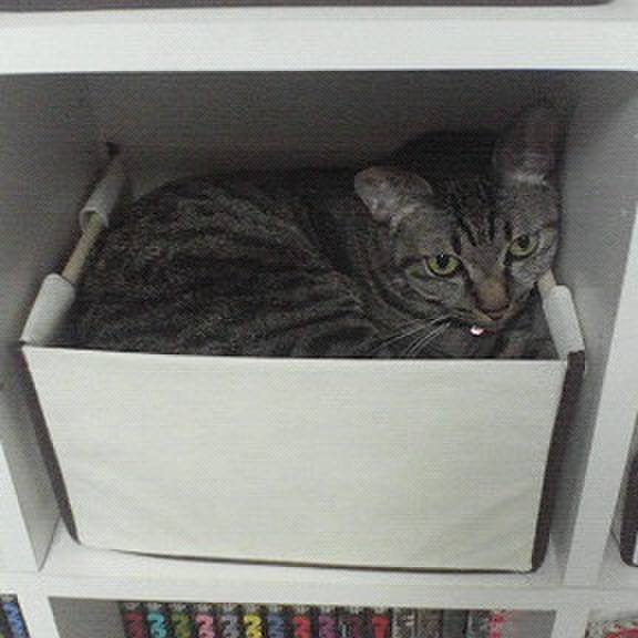 30d68d5c cd71 4c34 9a1f 221998fe2e6d