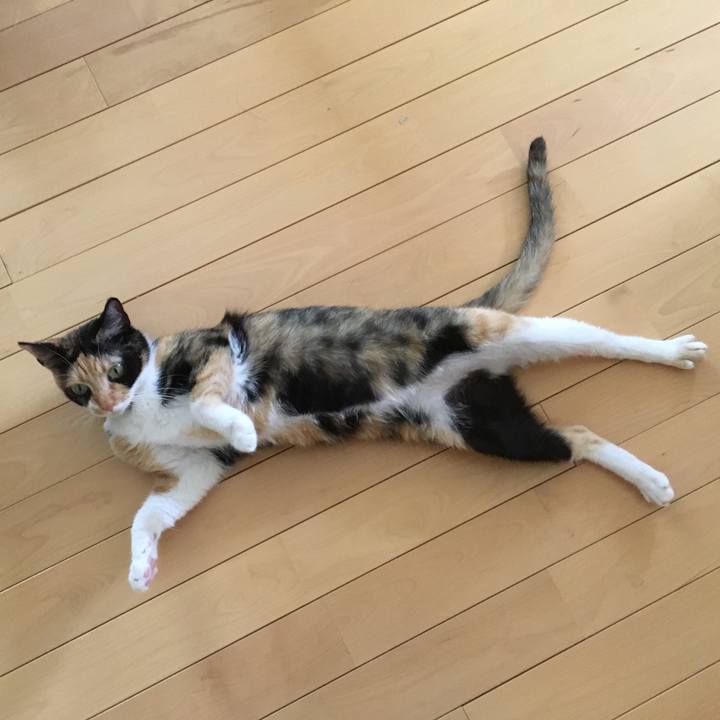 30d6f2f1 2b1e 4bd1 8beb 53e494525b80