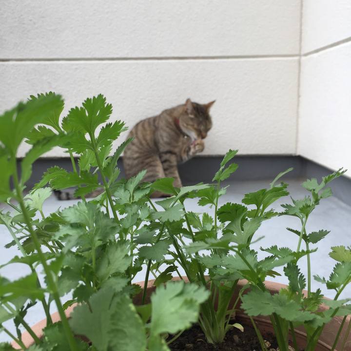 30d80727 5f06 4aee 93c8 401debf9ffba