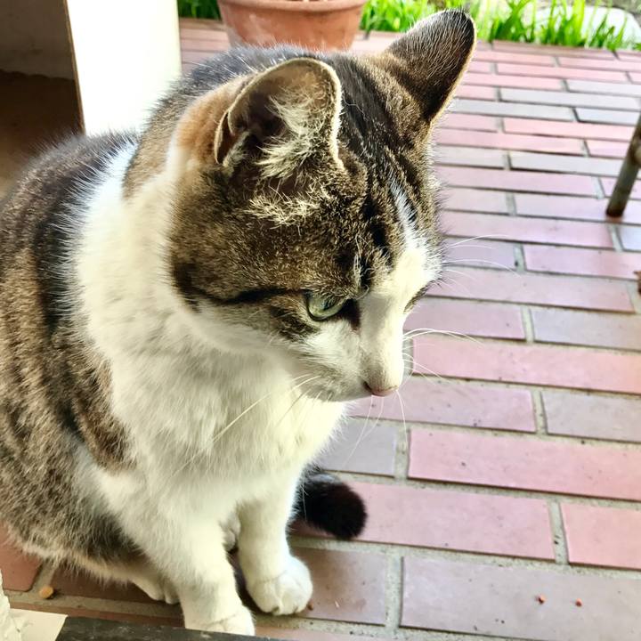 30d91b1b 6a77 4b33 ad2e 68e2bf092a09