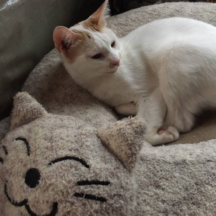 30d9585e 24d7 480d b747 6d4a521c8726