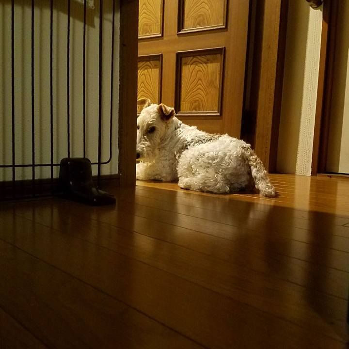 30d96e6e 4fa2 4c9f 9f16 893627a9a667