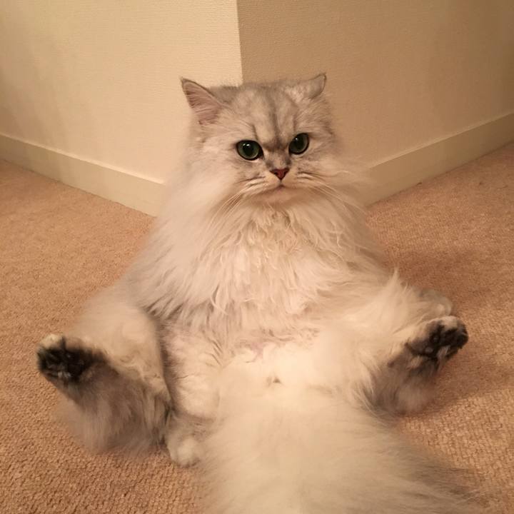 30d970e9 a4d1 49e2 bd99 df06b691f737