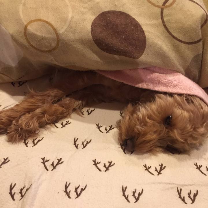 30d97d4c fa09 44d7 93d5 2e3c2244b80e