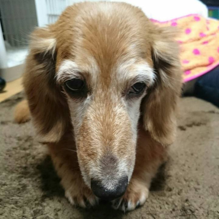 30d98107 b4b2 4203 a9e7 b7d4b515a485