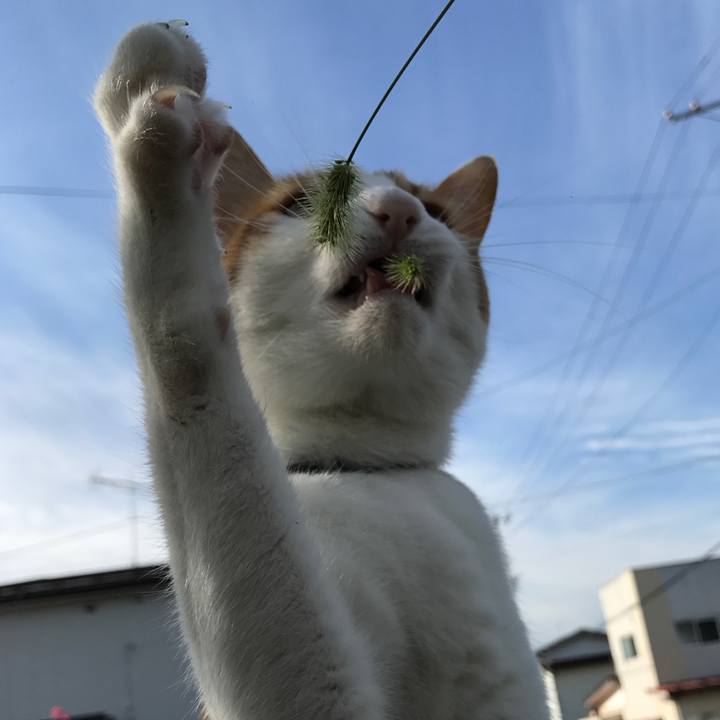 30d9835d 1875 470e 8f89 d011f0997c0a