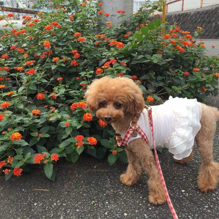 30da5f88 01a7 4f7e bd27 0ff54789358d