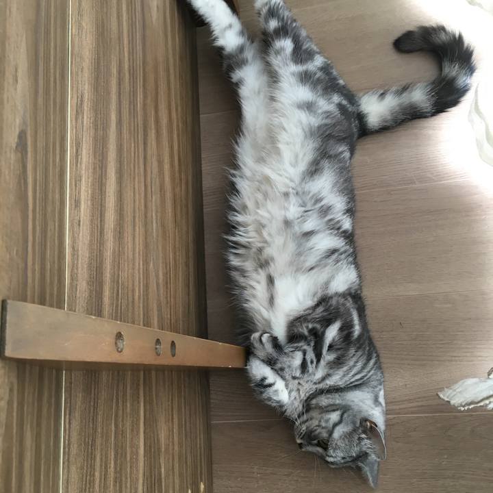 30daa056 eb49 430b aa5f 44274334d1b5