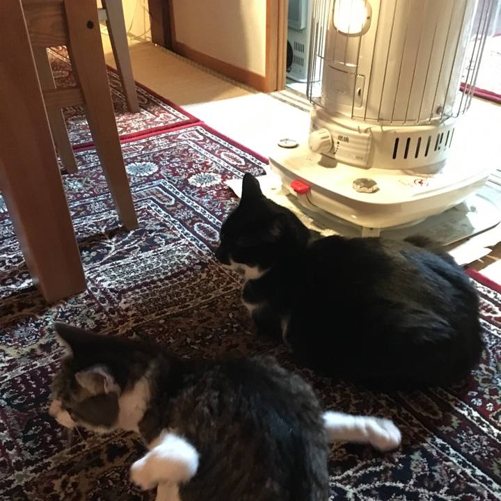 30dab2e7 a439 40ce 8a60 705d8f4d2295