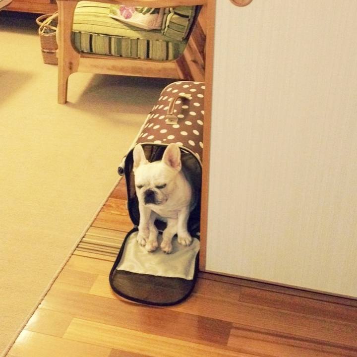 30dab89e 5c1b 4f8a abc9 e456514b207e