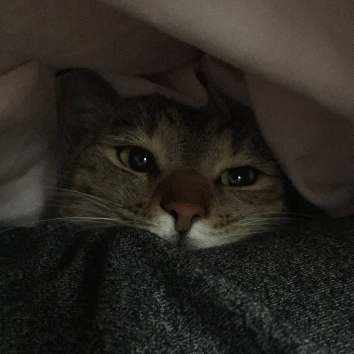 30db0254 3719 44e5 99e5 17ddf4f98932