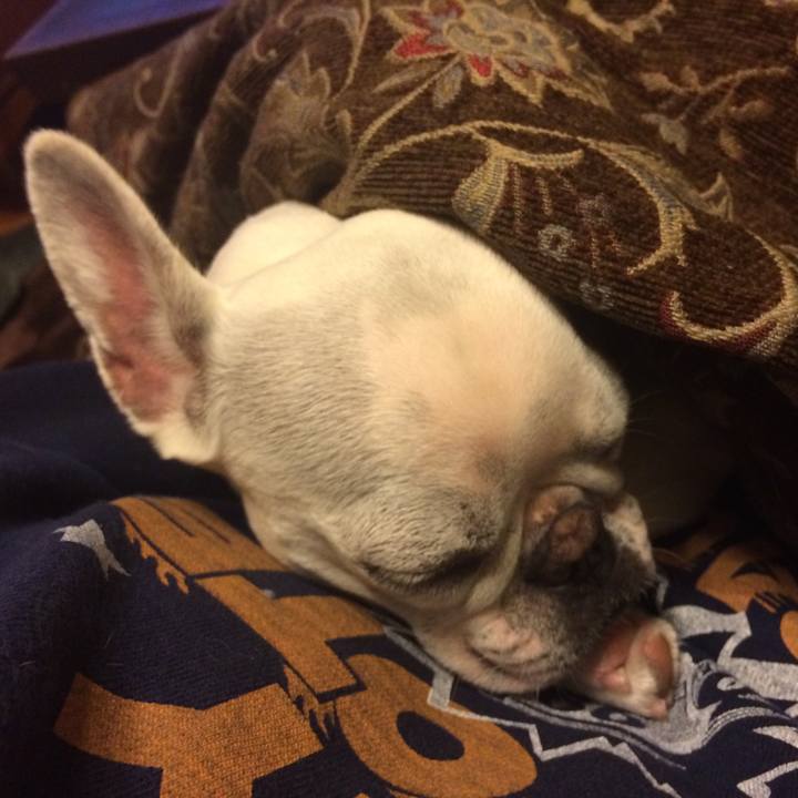 30db1a82 baa0 4988 bf1c 7fd095b7f584