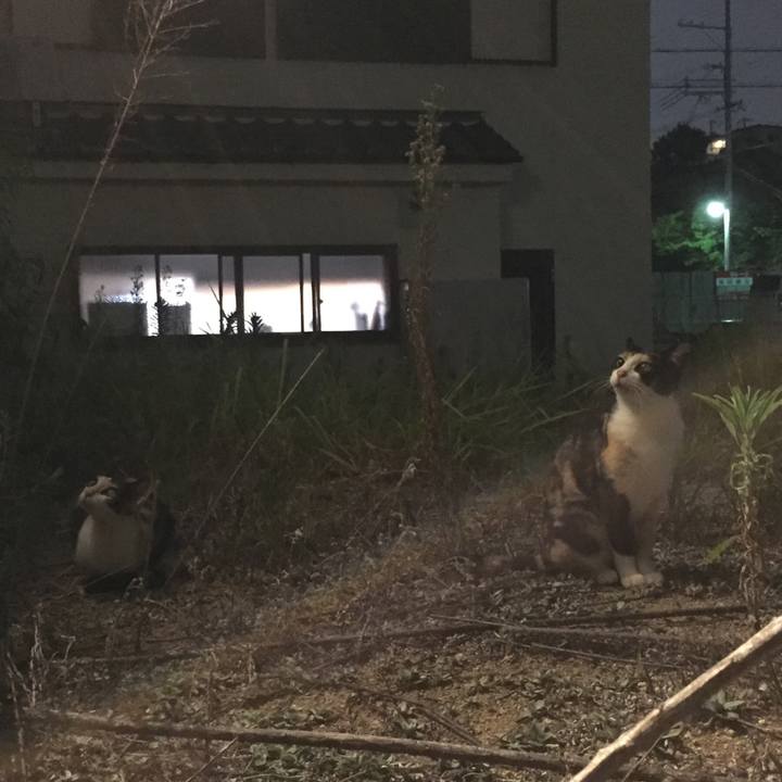 30db8ab0 9ad0 4530 9607 206f030db883