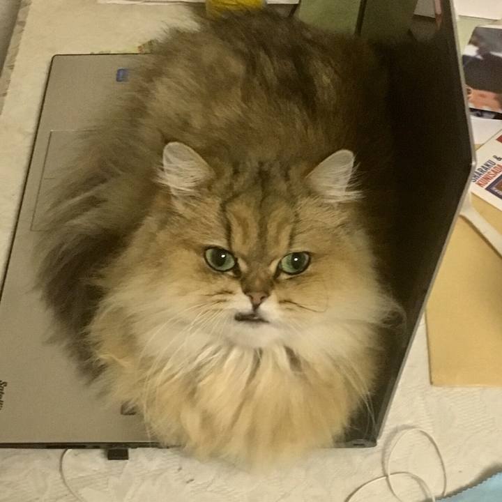 30db9b1b 55eb 49f2 9242 a0035209c611