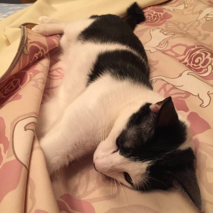 30dba7b9 149a 41c0 8a7f 1abf477c0617