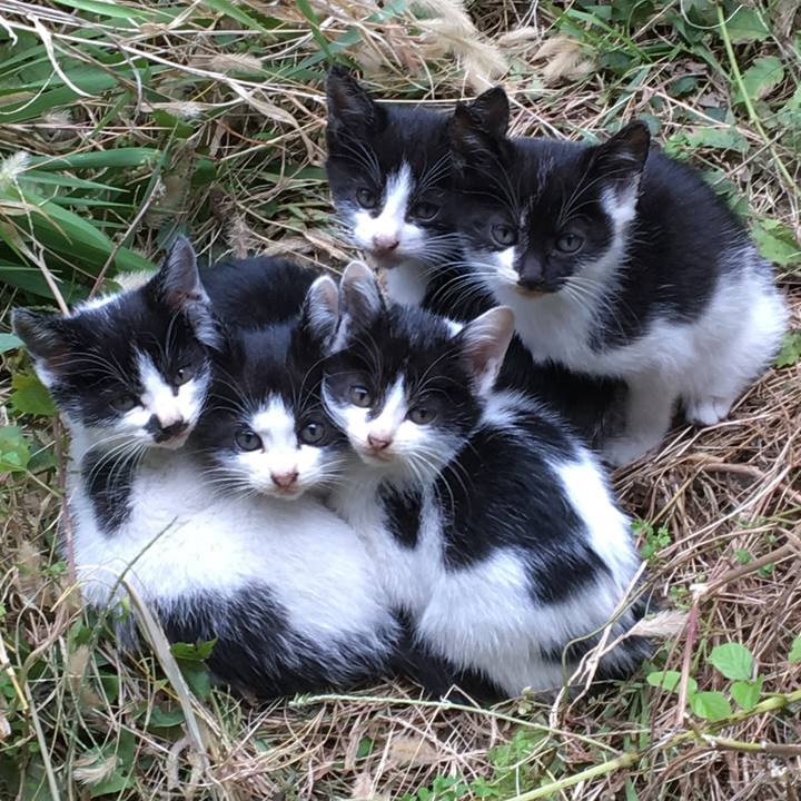 30dc5a9c 2a72 4502 92e5 409d8e9b2f08