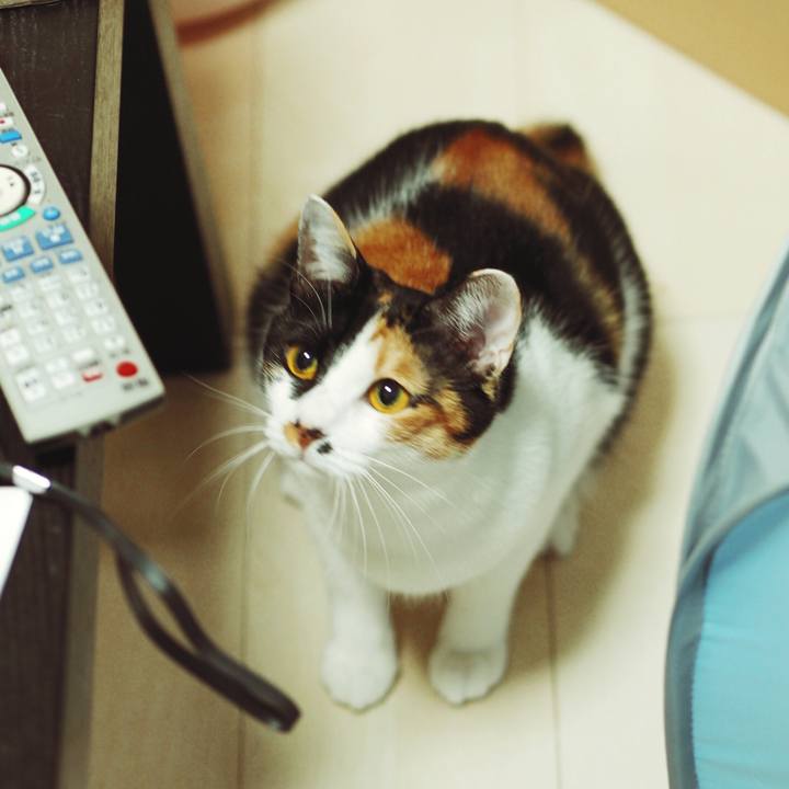 30dc6853 d595 44b9 bb04 44b3c9d8a0ad