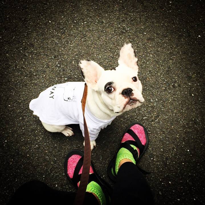 30dc8a4a 1bc2 4566 ba7e f5ac9f05b0c5