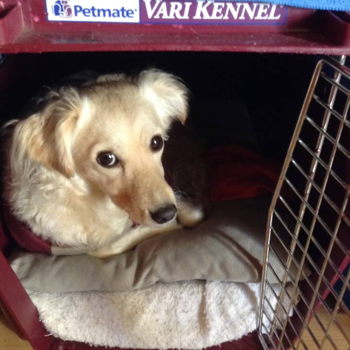 30dcdbe9 e835 4fd7 bf8a 7051f94b1ca9