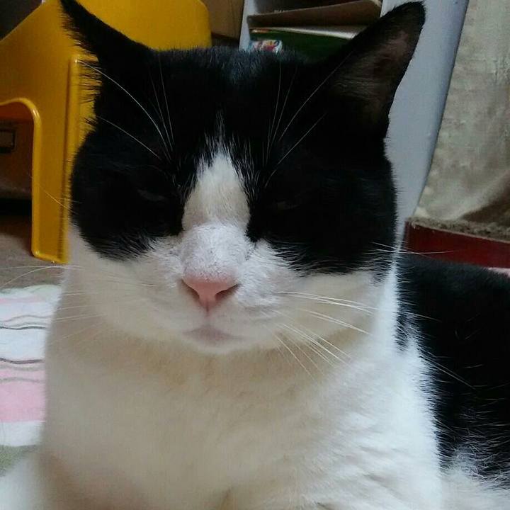 30dd217f 105e 4b76 bc87 4c238be2b904