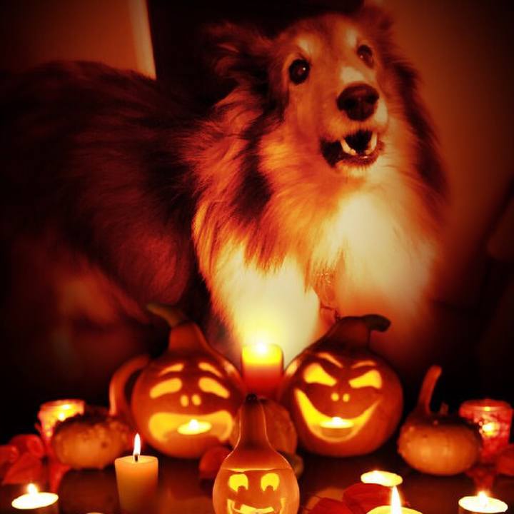 30dd258d 3fb9 4581 97c5 b1795ed61515