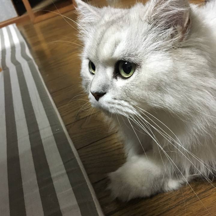 30dd2cd8 8e45 40db 979f 81bed2f1c46f