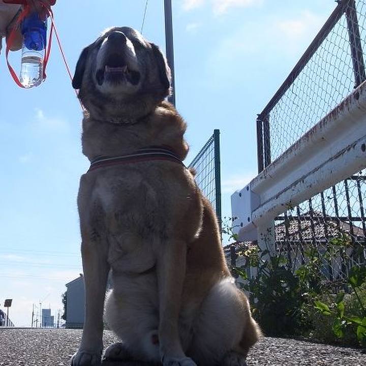 30dd78f5 60e5 4ca6 8c95 d7b72fa8f722