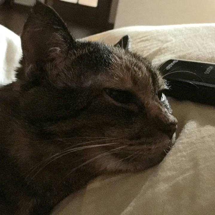 30dd9be3 569a 464e 8ca6 cd9f44c8d37c