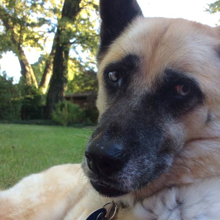 30dda5c8 9186 4558 bae4 4d06092faabc