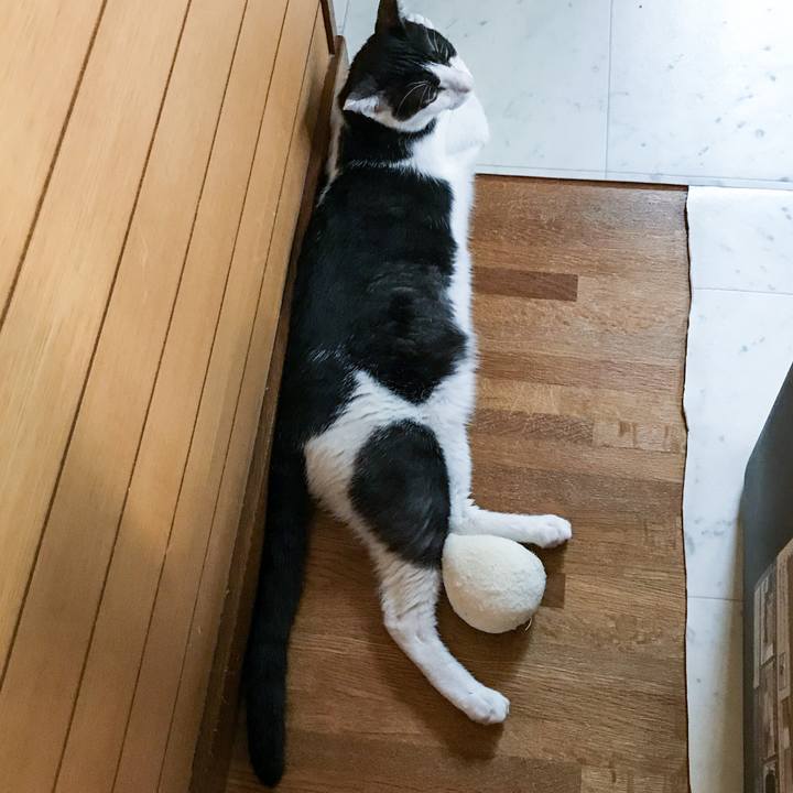 30ddc4e6 29ec 4fc5 9721 4b8980927b72