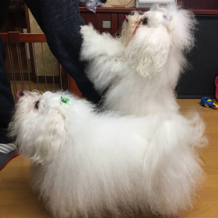 30de573d c2bc 4420 a53e e260e91ad444