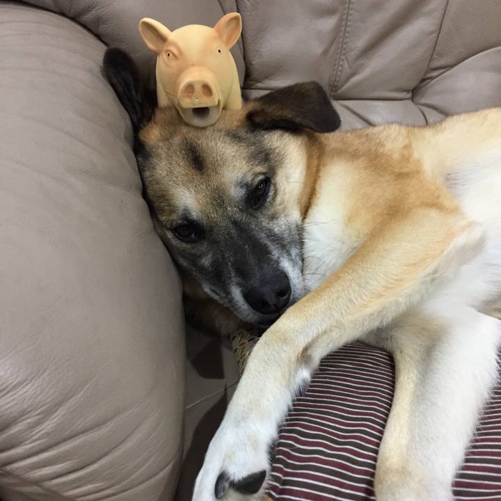 30deda0a 7887 492a a675 ddb7908945d2