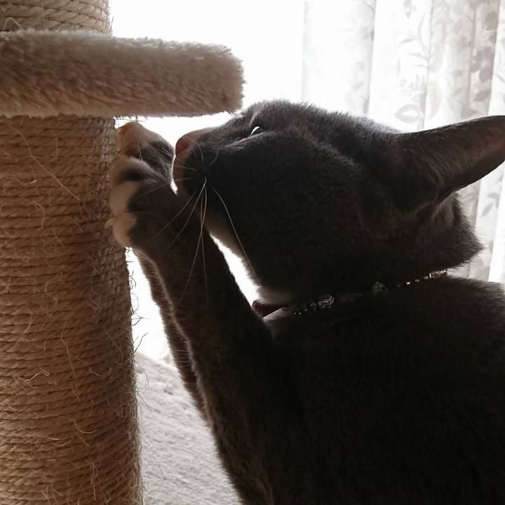 30df0ff7 a484 42b0 8b77 4e13e7e2f104