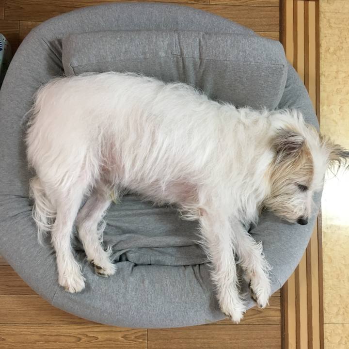 30df50dc 6111 4b9e 9dc2 1d9dea2e2c10