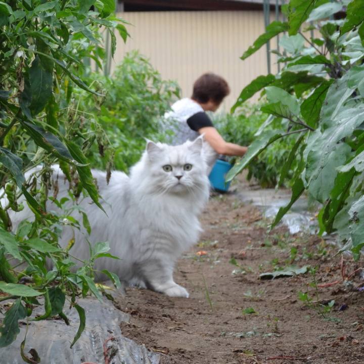 30e06862 60e5 416d acbc 6fcfad5c41be