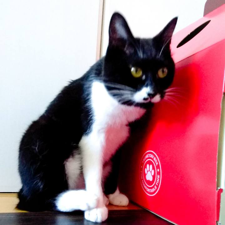 30e0a50d dc19 4406 94a0 0f10e0dd8f1d