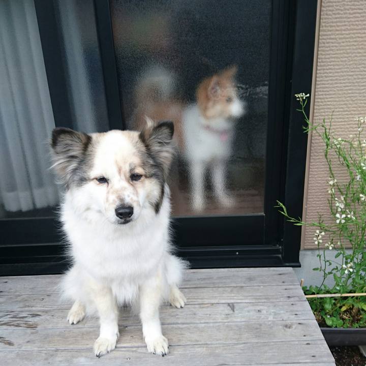 30e166a3 7c60 4498 8be5 7652a0327039