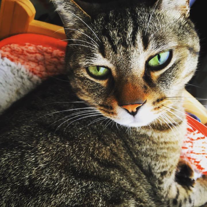 30e222f8 e45e 43cf be07 f2f2b0e3259e