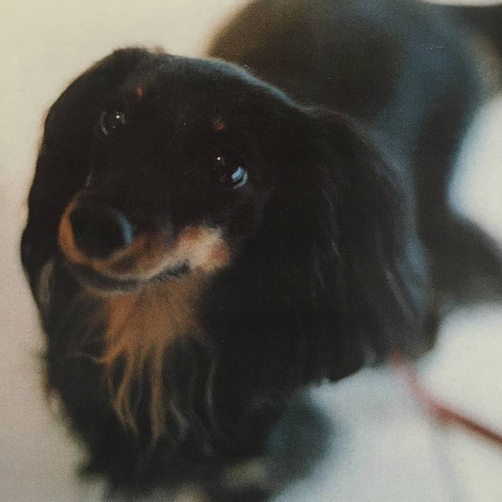 30e2424b 3960 4f73 b723 ce3bbe5297f8