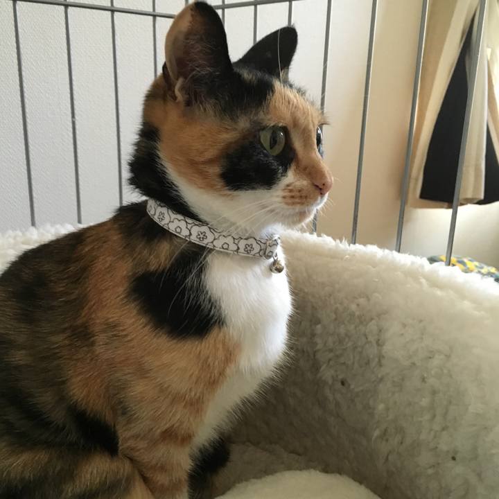 30e2b9ad 416c 423a 9882 2b4990ae2a85